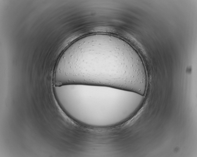 X0000097671033200803142150