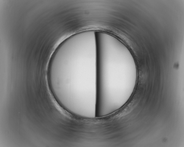 X0000097671034200803142150