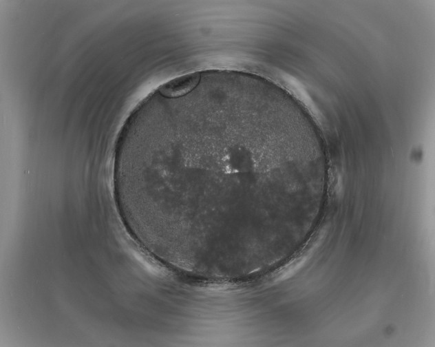 X0000097671035200803142150