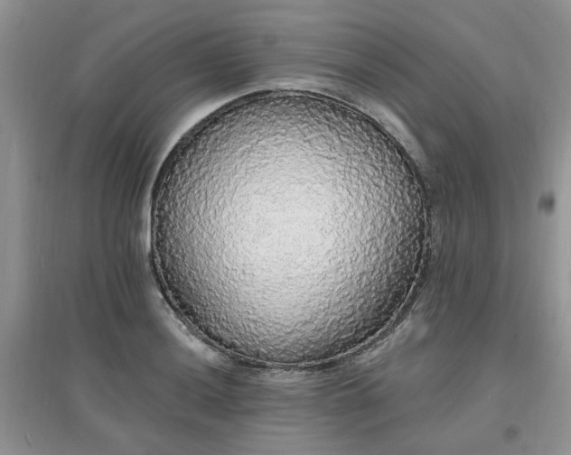 X0000097671036200803142150