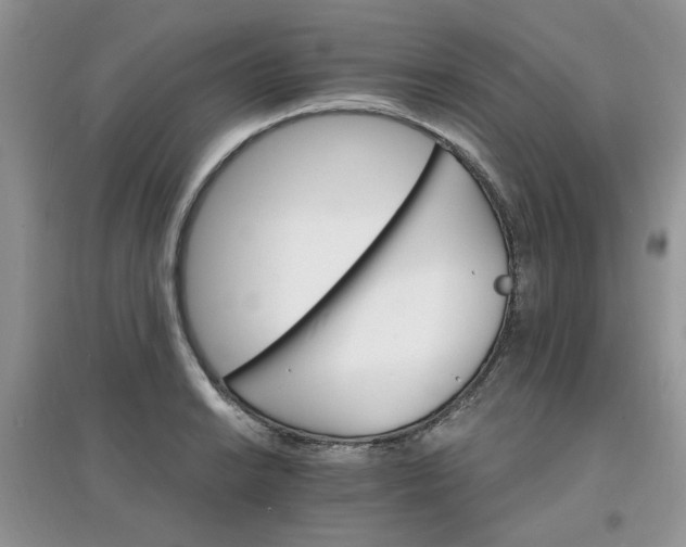 X0000097671038200803142150