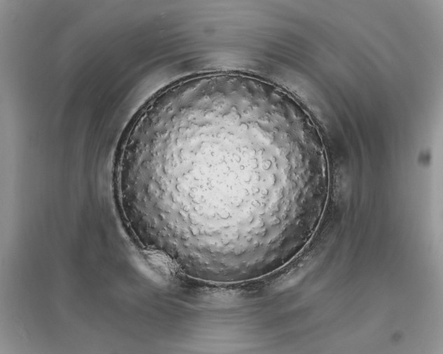 X0000097671039200803142150