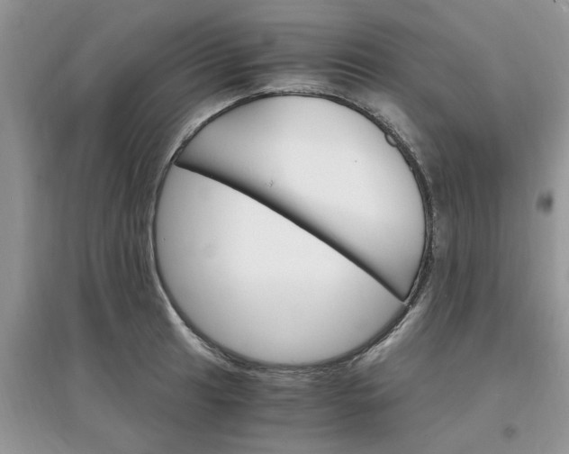 X0000097671041200803142150