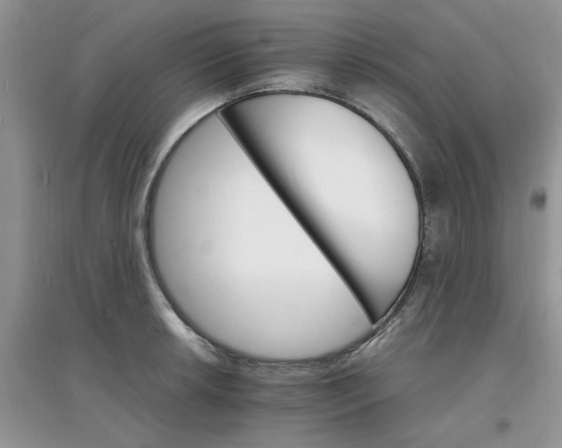 X0000097671042200803142150