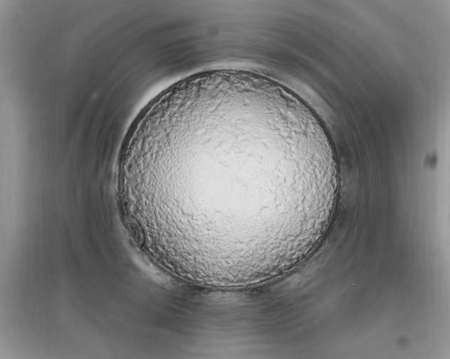 X0000097671044200803142150