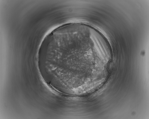 X0000097671045200803142150