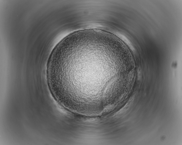 X0000097671047200803142150