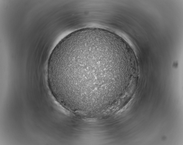 X0000097671048200803142150