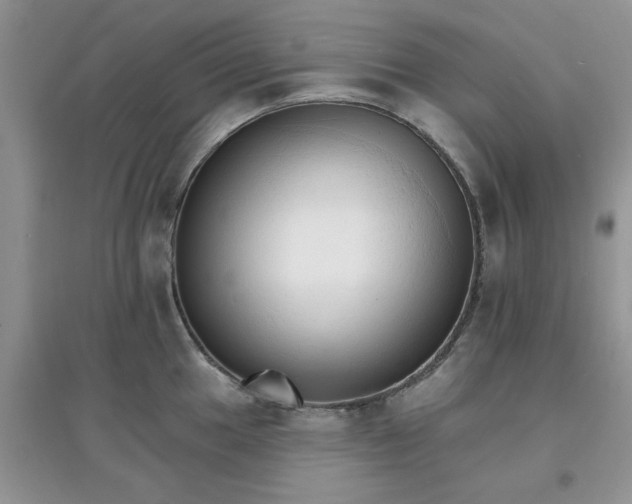 X0000097671049200803142150