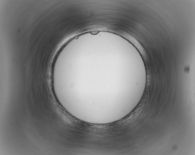 X0000097671051200803142150