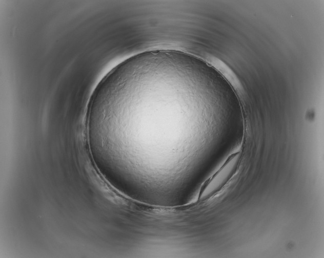 X0000097671052200803142150