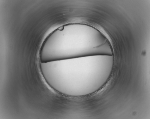 X0000097671053200803142150