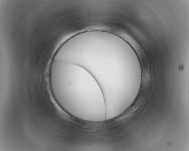 X0000097671055200803142150