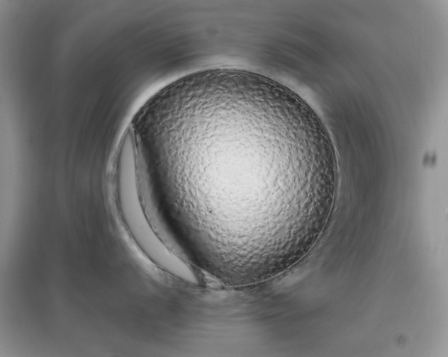 X0000097671056200803142150