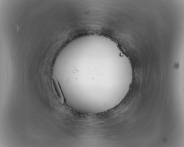 X0000097671057200803142150