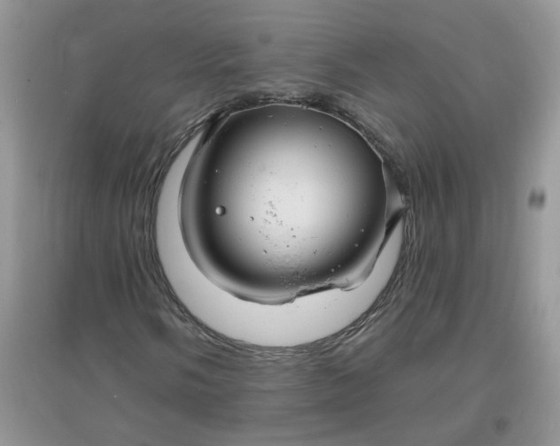 X0000097671058200803142150