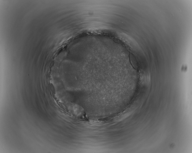 X0000097671060200803142149