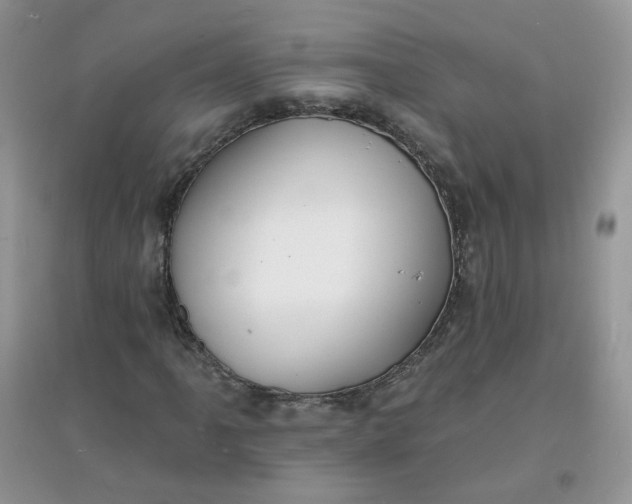 X0000097671061200803142149