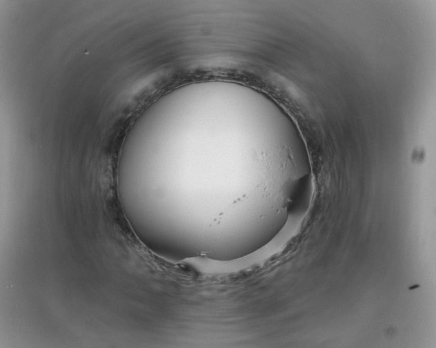 X0000097671062200803142149