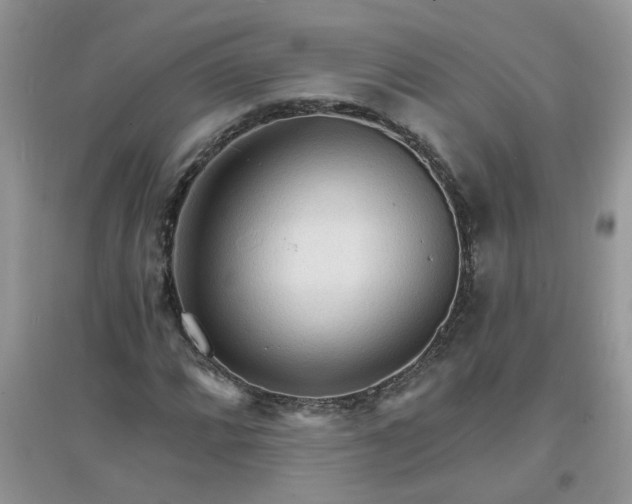 X0000097671064200803142149