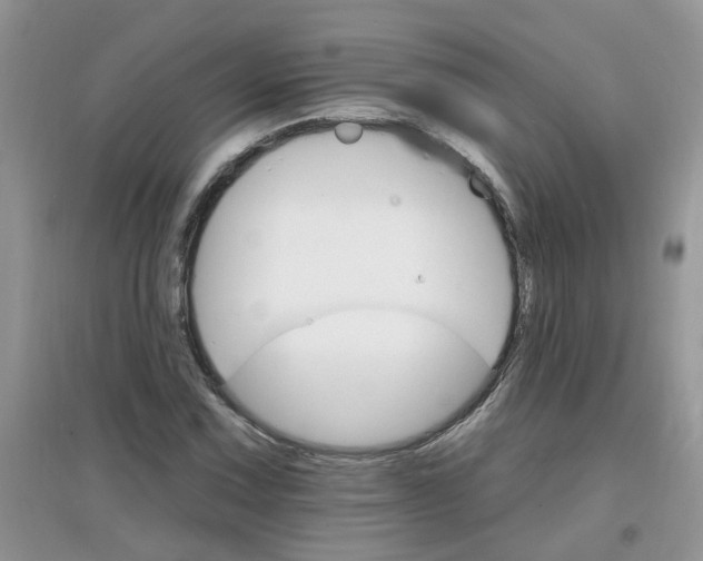 X0000097671067200803142149