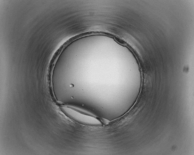 X0000097671068200803142149
