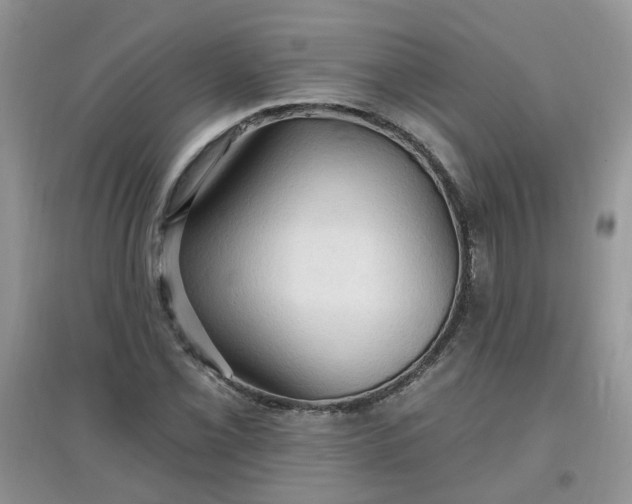 X0000097671069200803142149