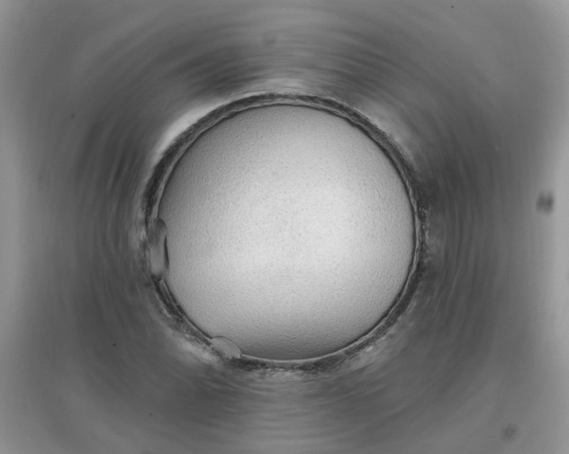 X0000097671070200803142149