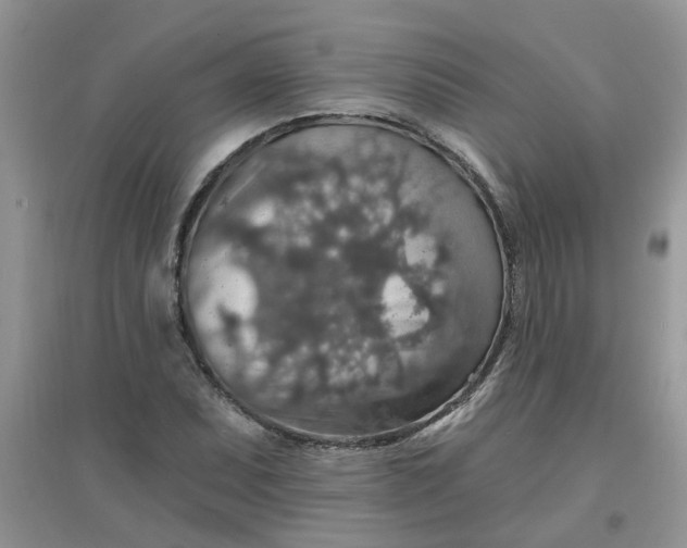 X0000097671071200803142149
