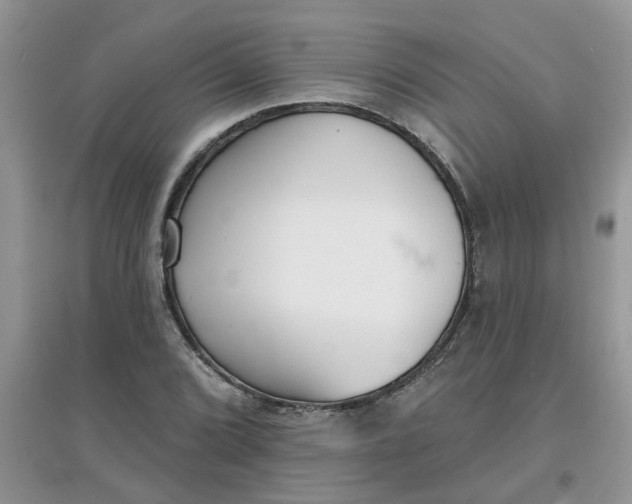 X0000097671072200803142149