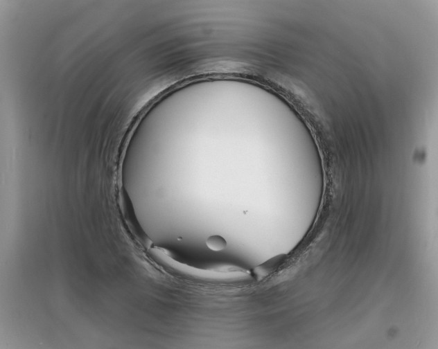 X0000097671073200803142149