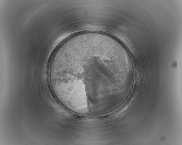 X0000097671074200803142149