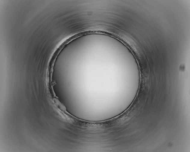 X0000097671076200803142149