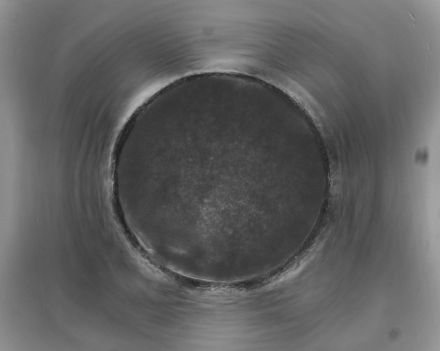 X0000097671077200803142149