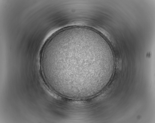 X0000097671078200803142149