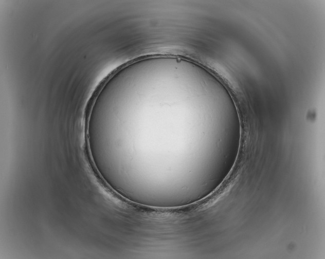 X0000097671079200803142149