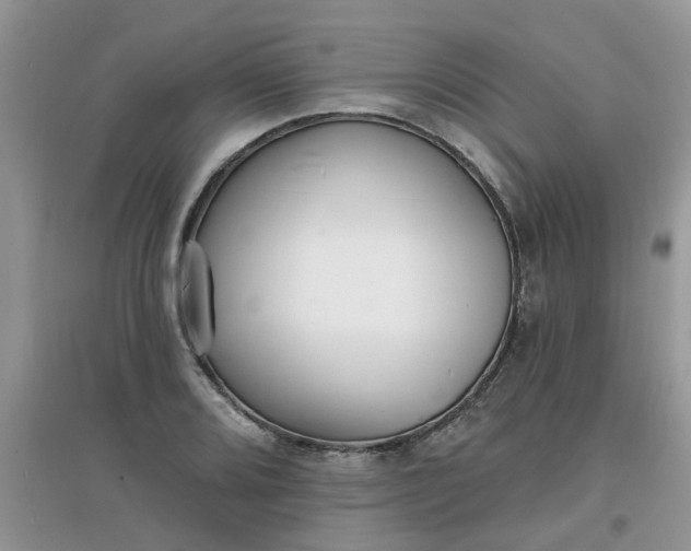 X0000097671080200803142149