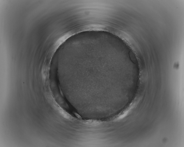 X0000097671081200803142149