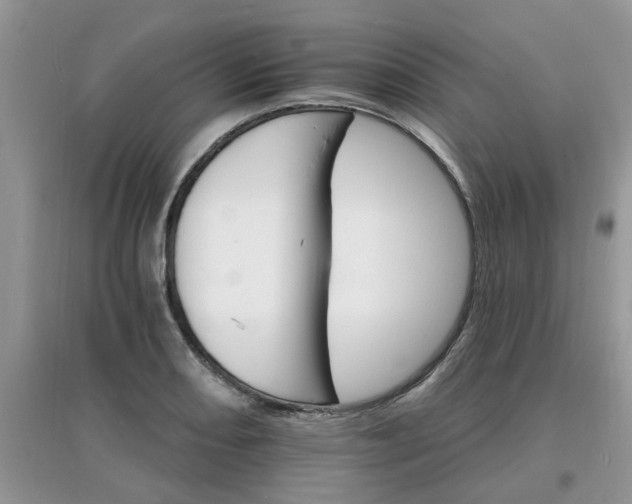 X0000097671082200803142149