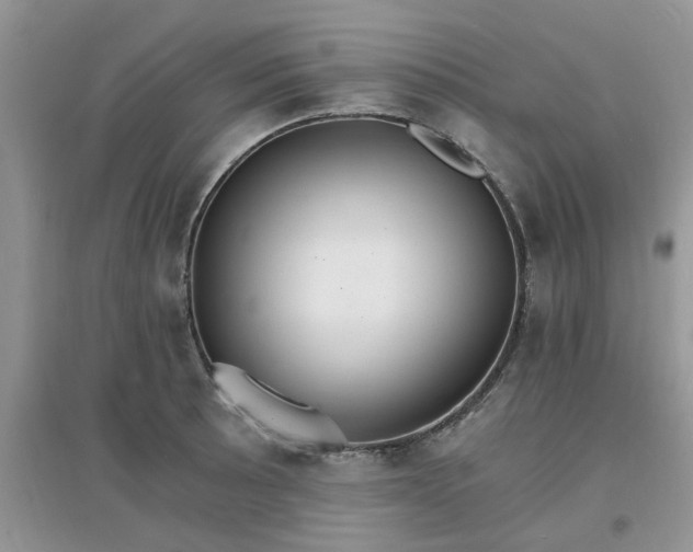 X0000097671089200803142149