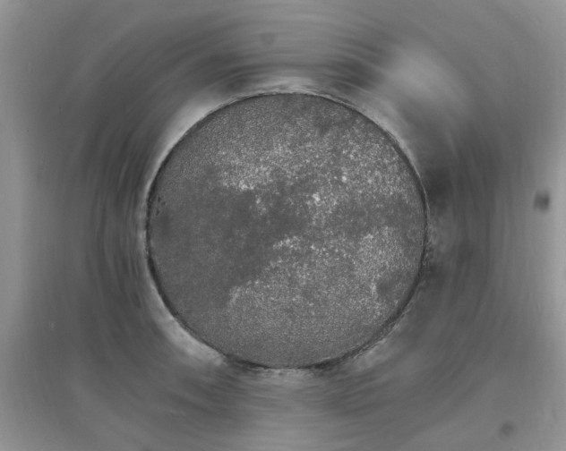 X0000097671090200803142149