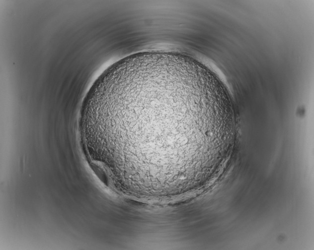 X0000097671091200803142149