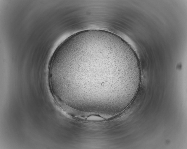 X0000097671096200803142149