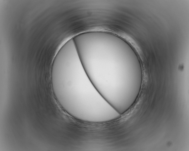 X0000097671097200803142149