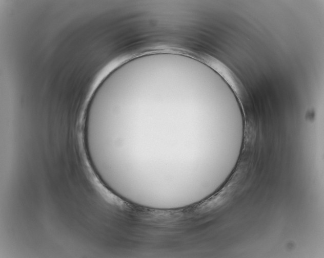 X0000097671098200803142149