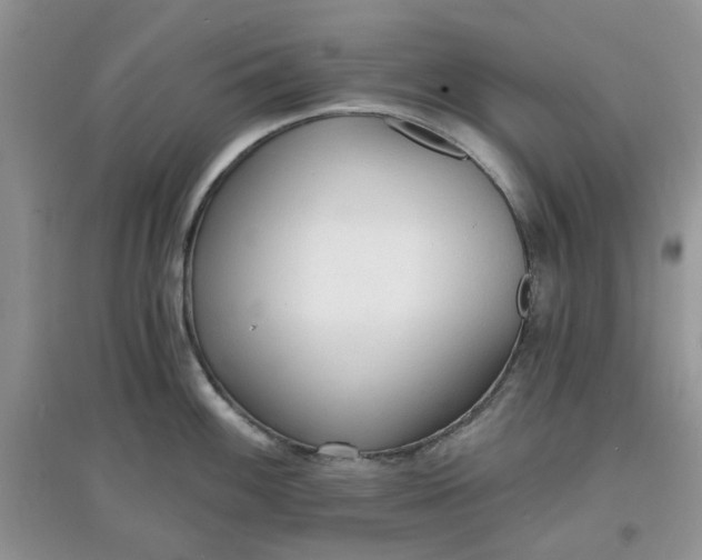 X0000097671100200803142149