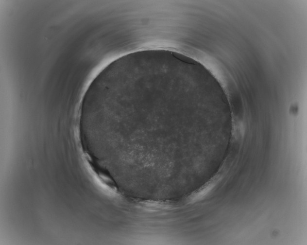 X0000097671102200803142149