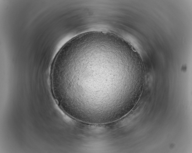 X0000097671103200803142149