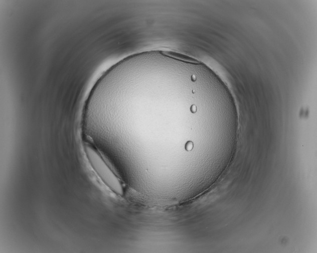 X0000097671104200803142149