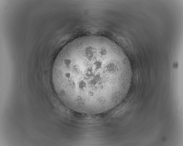 X0000097671105200803142148